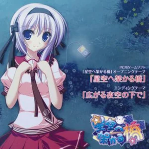 星空桥游戏评测：探索未知领域