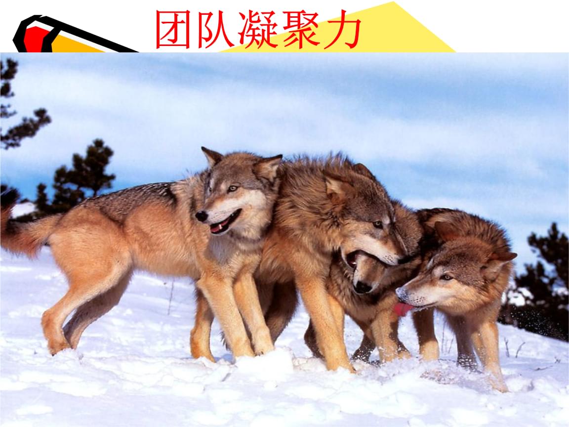 协作小型团队游戏大全_适合团队协作的小游戏_小型团队协作游戏