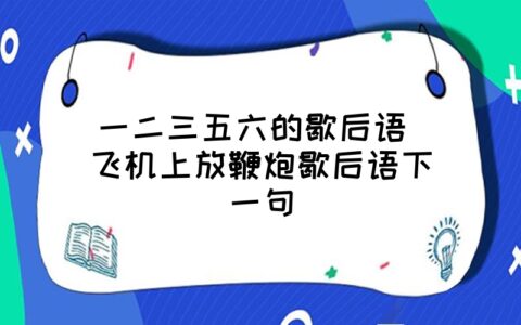 飞机上放炮仗歇后语_飞机挂鞭炮_飞机上放鞭炮歇后语