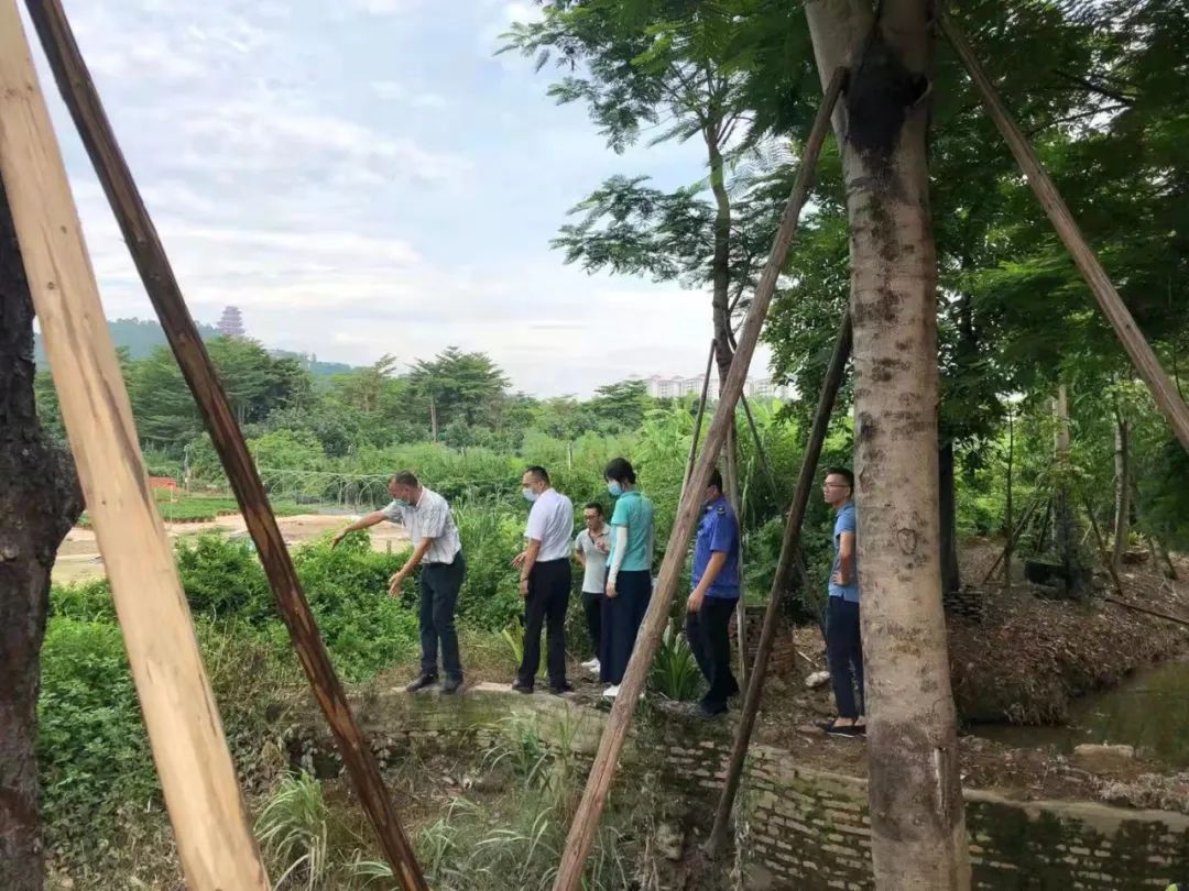 最强大脑水哥个人资料_最强大脑第二季水哥视频_最强大脑歌手选手