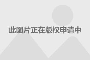 梦幻西游家族名字大全唯美_梦幻西游家族名字5个人的_梦幻西游 家族名字