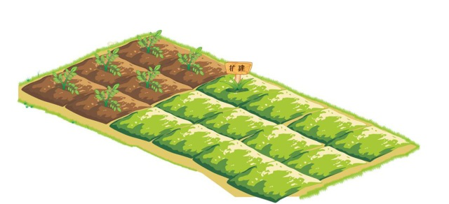 偷菜三合一_偷菜