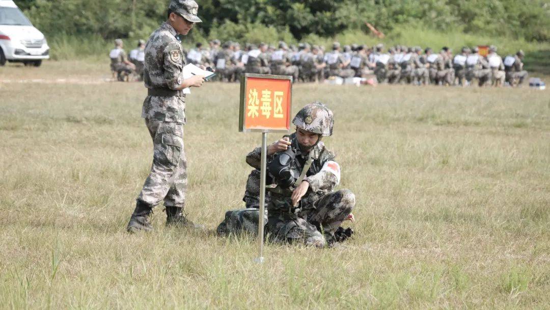 明日方舟资深干员词条一览_明日方舟资深干员tag搭配_明日方舟资深干员tag最新