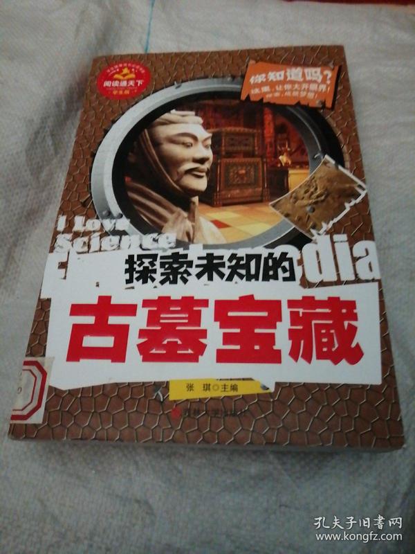 冒险王小游戏_冒险王游戏攻略_冒险王游戏小说推荐