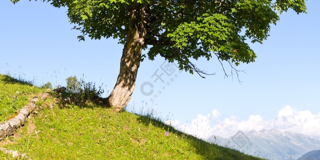 荻花宫前山晴空之火_荻花宫晴空之火_荻花宫前山普通攻略