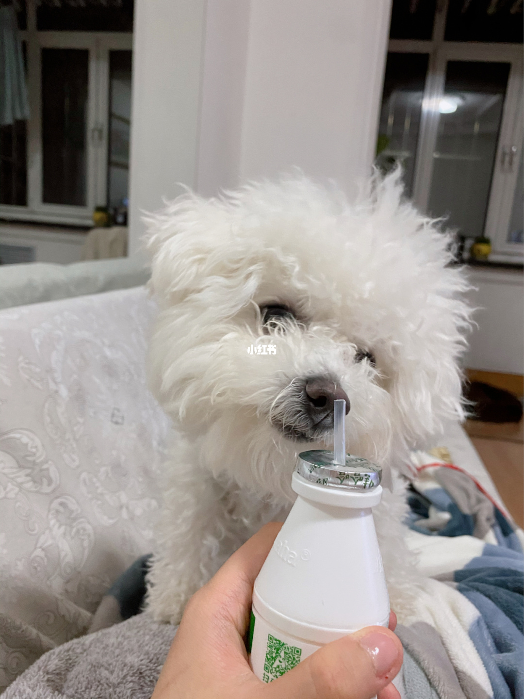 账号坐骑_现版本奶块中删除帐号能拿走坐骑吗_坐骑装备账号通用么