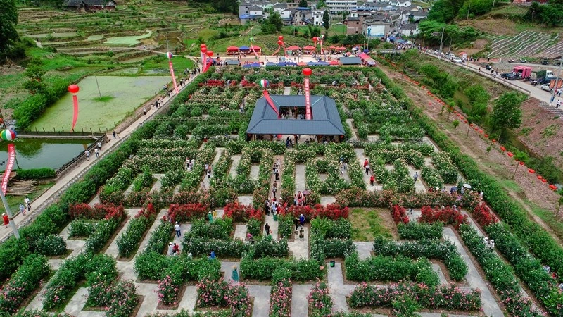 玫瑰庄园游戏_玫瑰庄园手游_庄园玫瑰游戏怎么玩