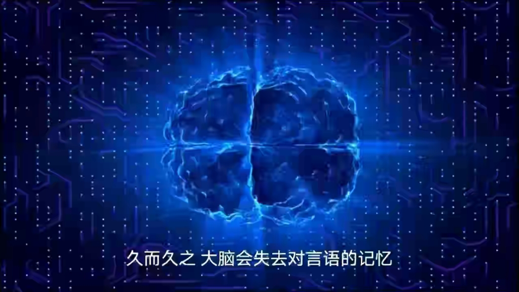 最强大脑里面的水哥是哪一期_最强大脑水哥个人资料_最强大脑歌手选手