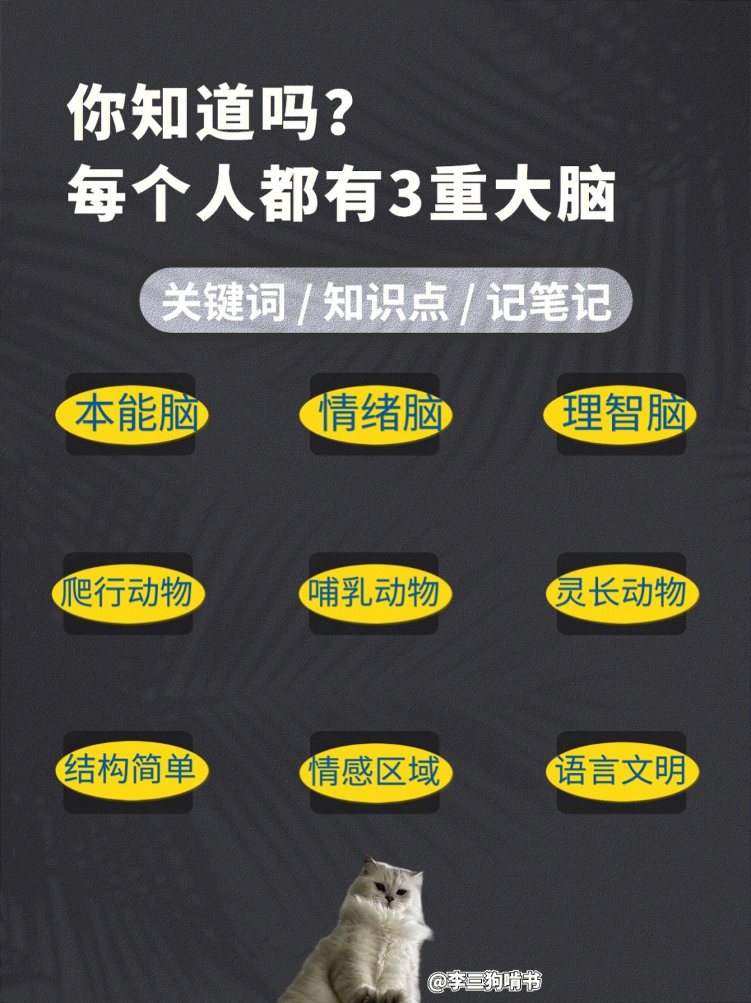 最强大脑里面的水哥是哪一期_最强大脑歌手选手_最强大脑水哥个人资料
