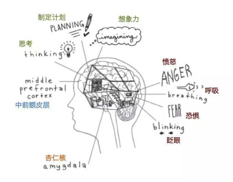 最强大脑水哥个人资料_最强大脑里面的水哥是哪一期_最强大脑歌手选手