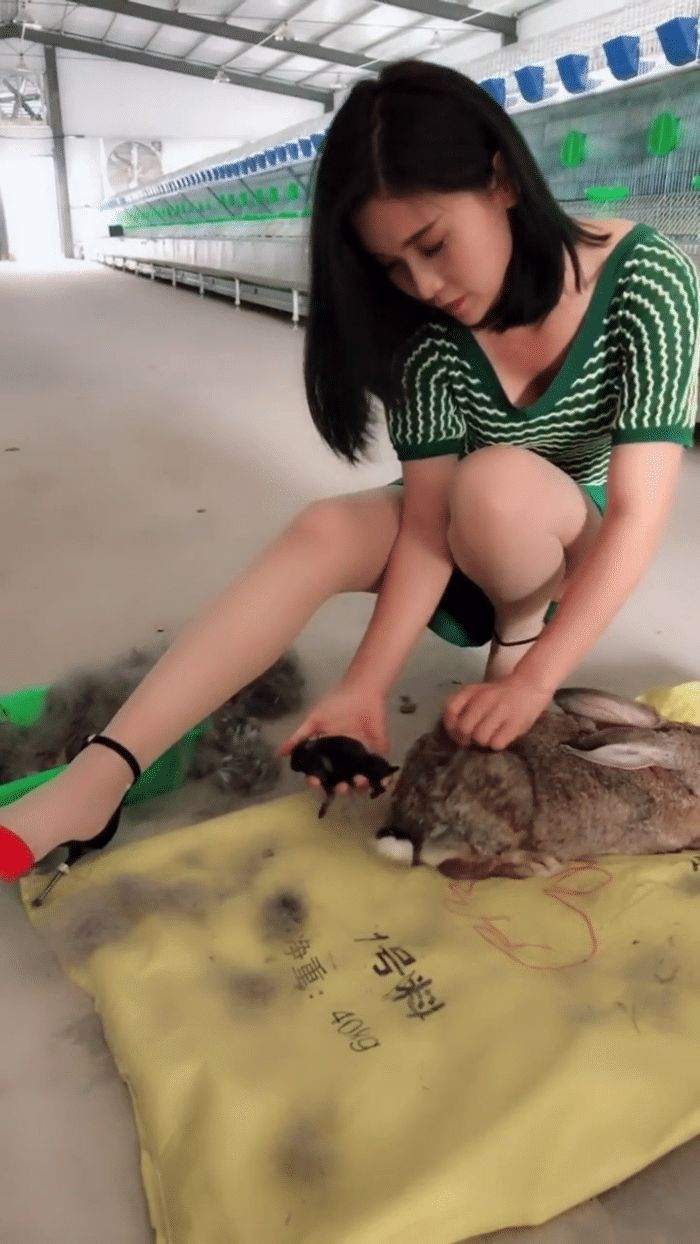 掀美女裙子游戏小说_掀美女裙子游戏小说全集_掀美女裙子小游戏