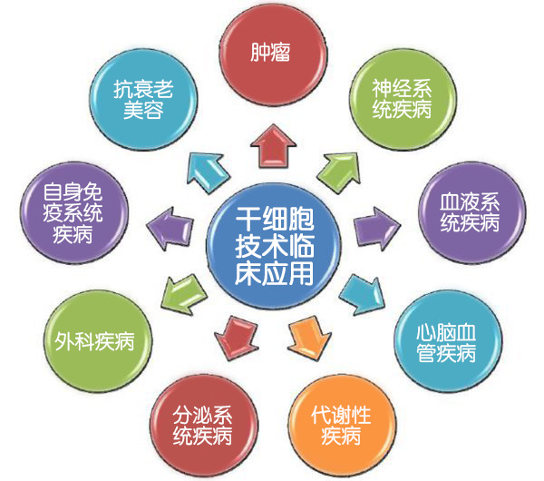 明日方舟资深干员tag搭配_明日方舟资深干员词条一览_明日方舟资深干员搭配支援