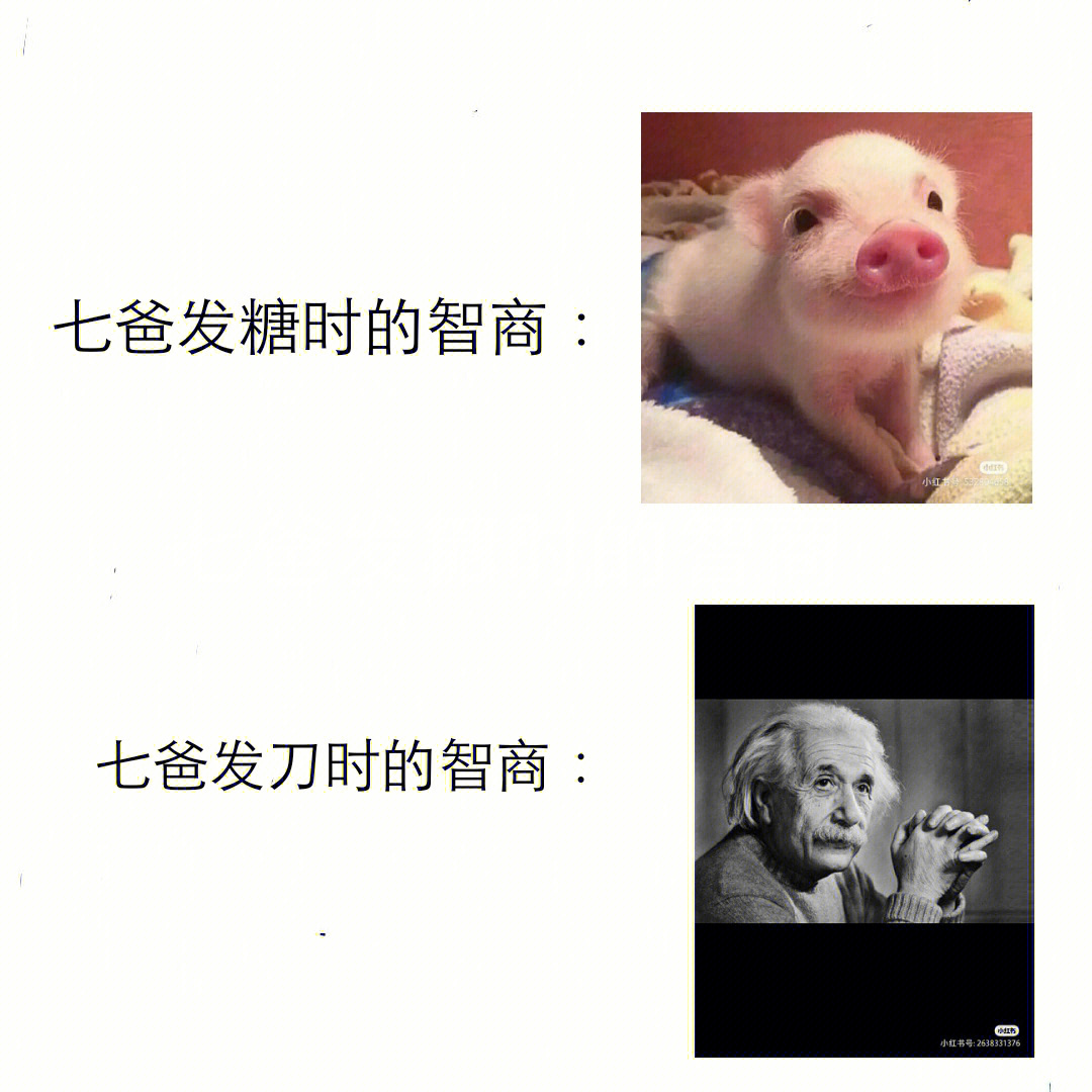 最强大脑王昱珩辩水_最强大脑水哥个人资料_最强大脑面具哥