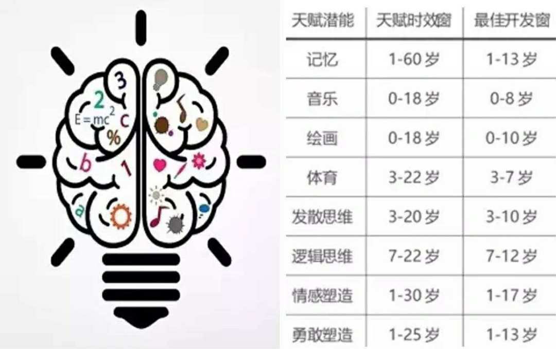 最强大脑魏教授资料_最强大脑王昱珩辨水视频_最强大脑水哥个人资料