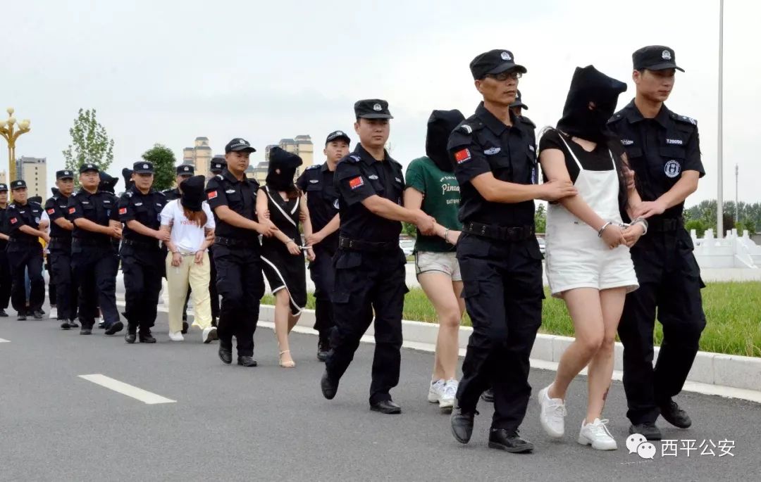 坑爹诈骗犯