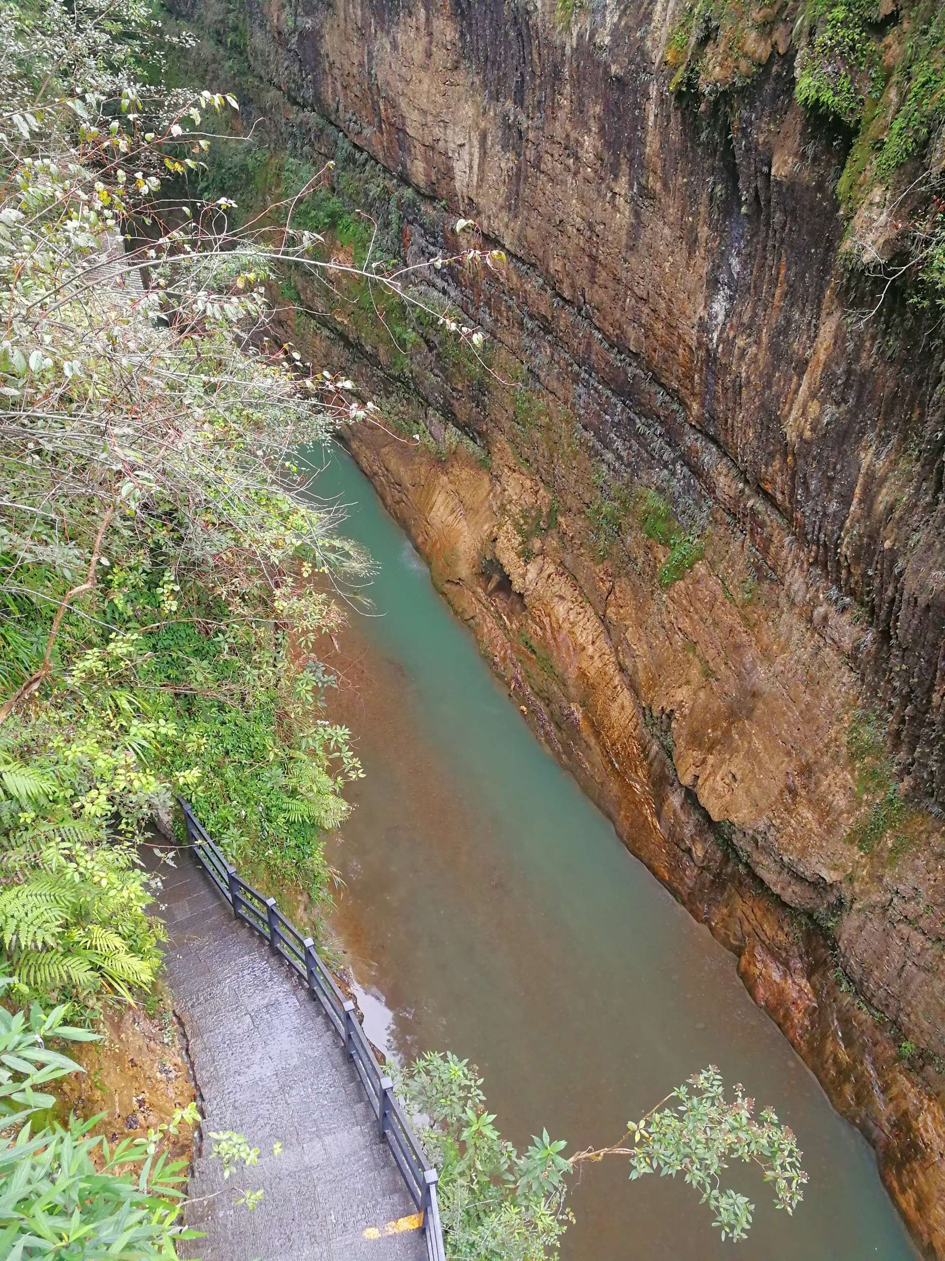 冲关大峡谷_峡谷闯关5大考验_冲关大峡谷手游