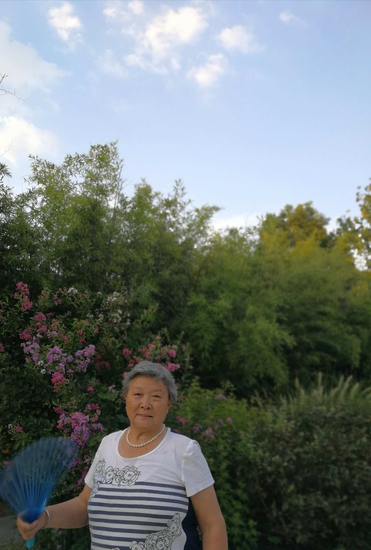 whitehead_whitehead什么意思_whitehead研究所