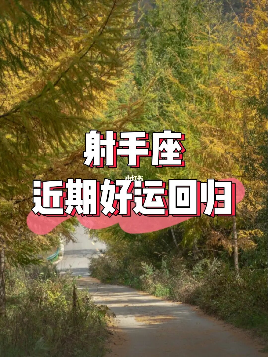 射手座今日运势新浪网_新浪射手座今日运势查询_射手座今日运势新浪星座新浪网