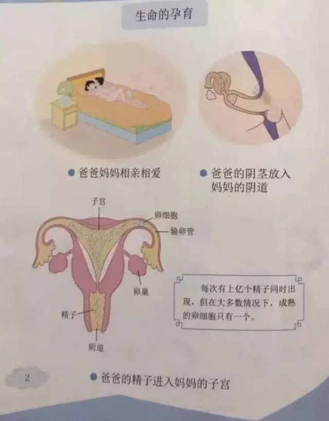 微信系统森破小子57_森破小子写的微型糸统_微信性系统森破小子56