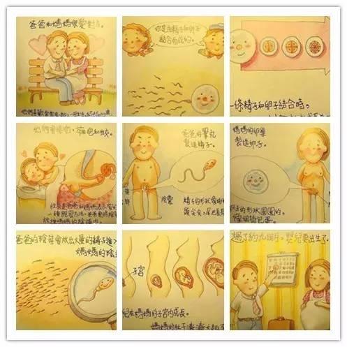 微信系统森破小子57_森破小子写的微型糸统_微信性系统森破小子56