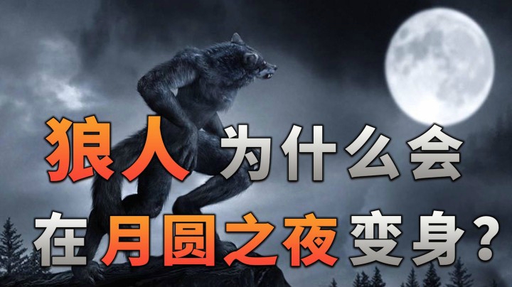 狼人说是回复什么意思_别人说你是个狼人你怎么回复_狼人说是回复的意思吗