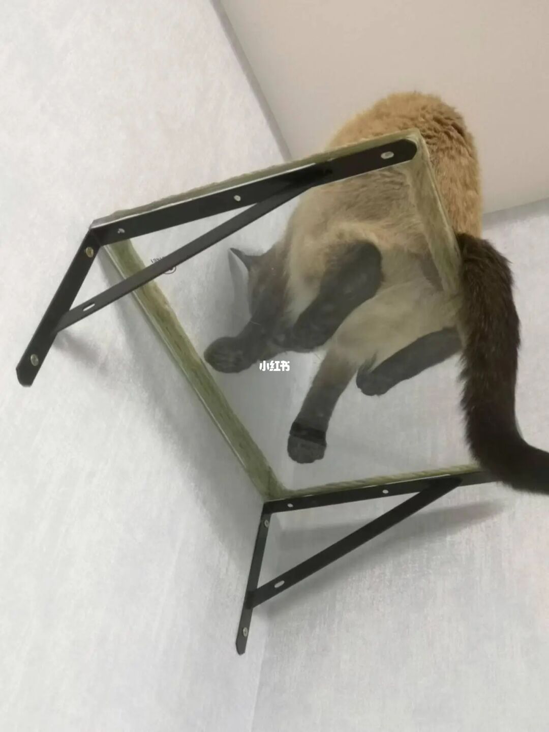 星猫大富翁怎么玩_星猫大富翁app_星猫大富翁