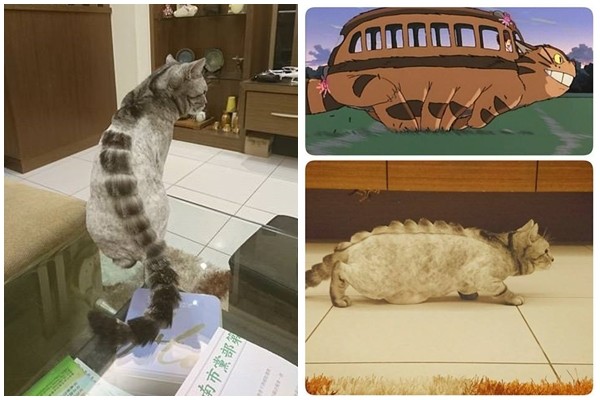 星猫大富翁app_星猫大富翁_星猫大富翁怎么玩