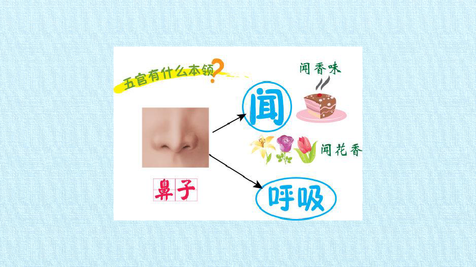 幼儿园感官游戏含义_感官园幼儿游戏观察记录_幼儿园感官游戏