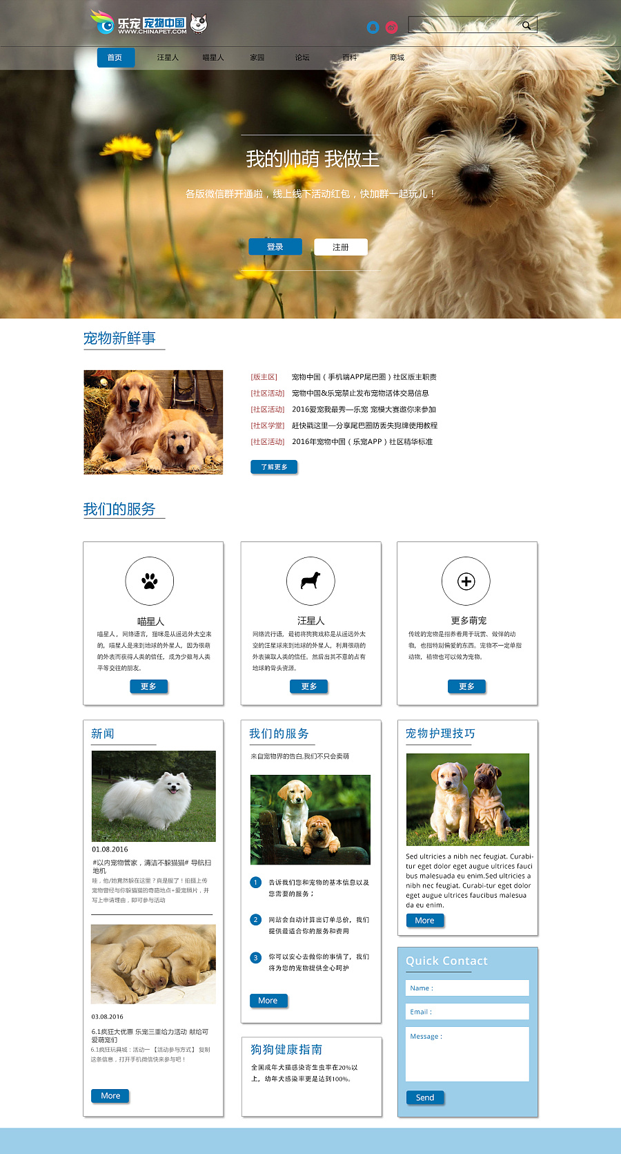 宠物养成类网页游戏_在线养宠物小游戏_养宠物网页游戏