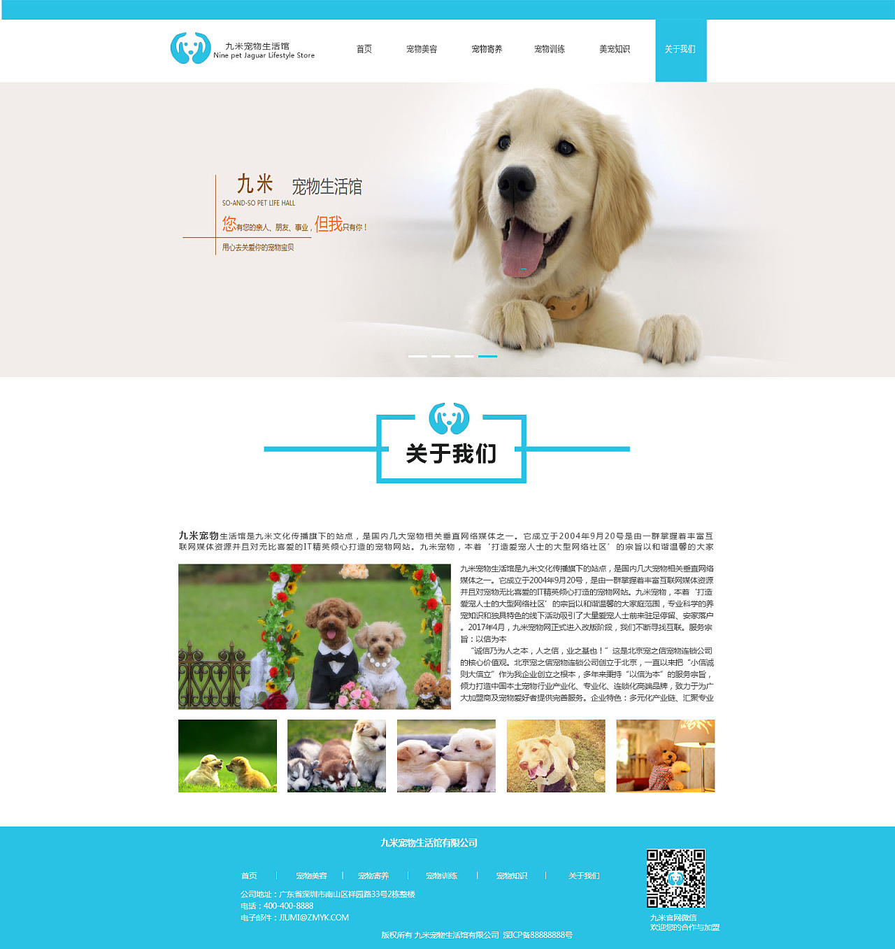 养宠物网页游戏_在线养宠物小游戏_宠物养成类网页游戏