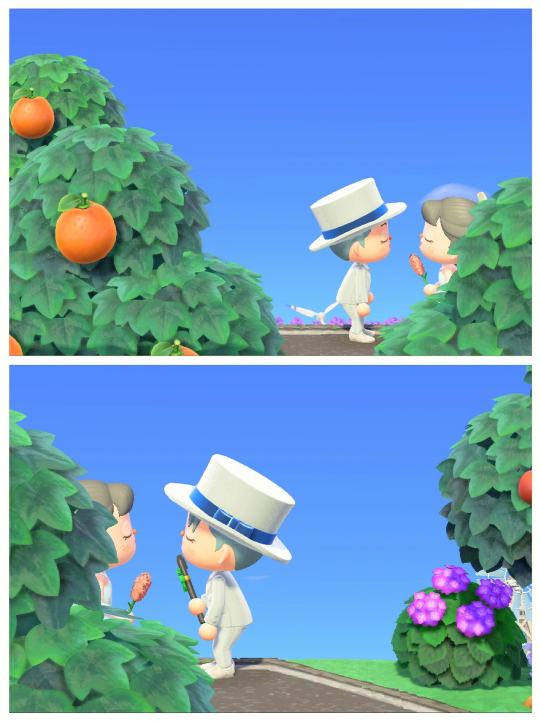 开通微信生意宝微网站系统_微信性系统森破小子56_微实惠微信营销系统