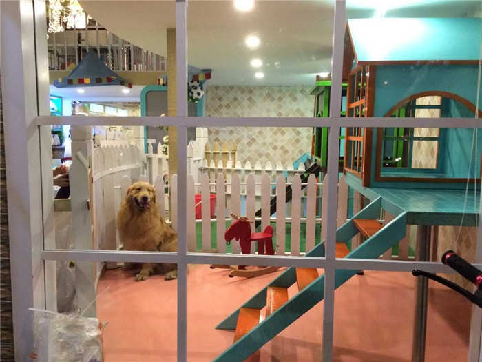 爱宠屋游戏_宠屋下载_宠爱游戏泰剧