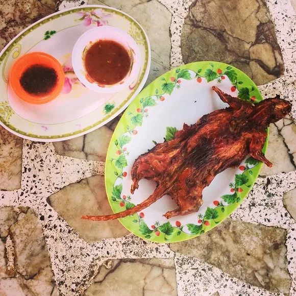 美食大战老鼠2_老鼠大战美食破解版_老鼠大战美食版植物大战僵尸