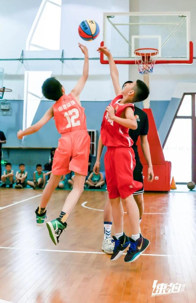chief_chief和zippo哪个好_chief keef kobe
