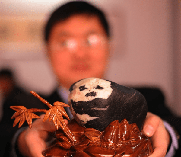 进化奇石_进化奇石在哪里获得_进化奇石加多少属性