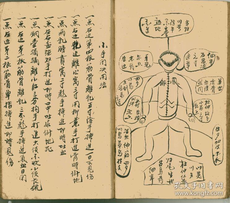 寻龙点穴视频_图解寻龙点穴_点穴神功