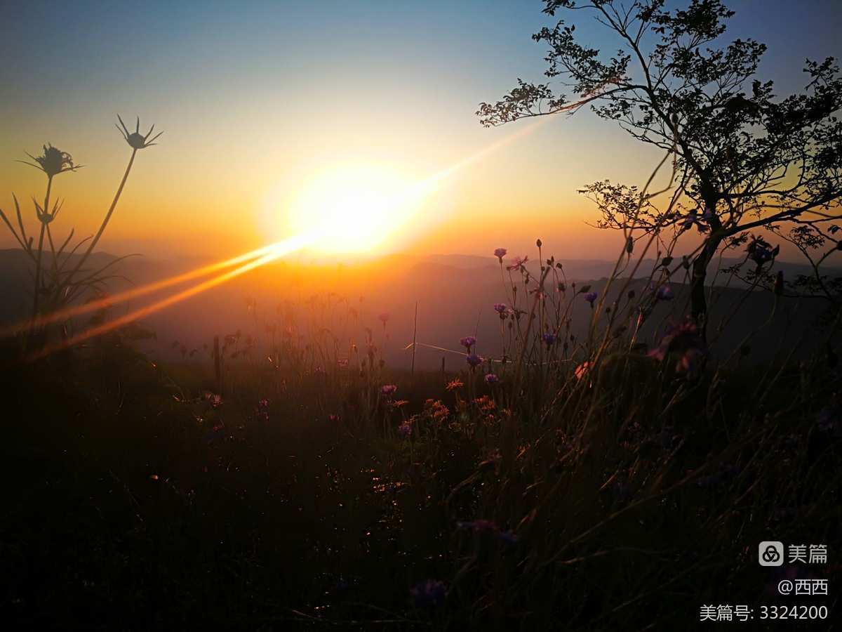 登塔学苑_登塔_登塔我是最强的