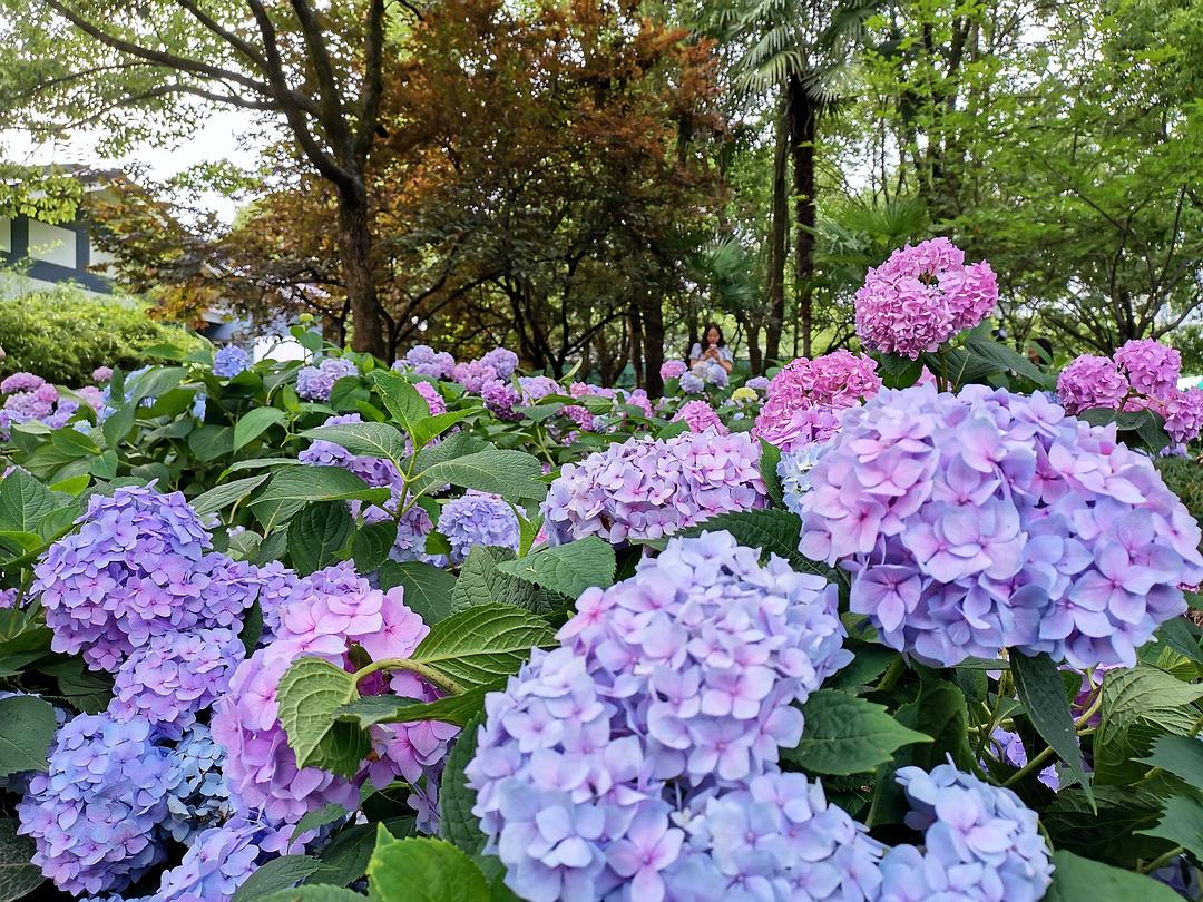 于芷晴_于芷晴mini_于芷晴电视
