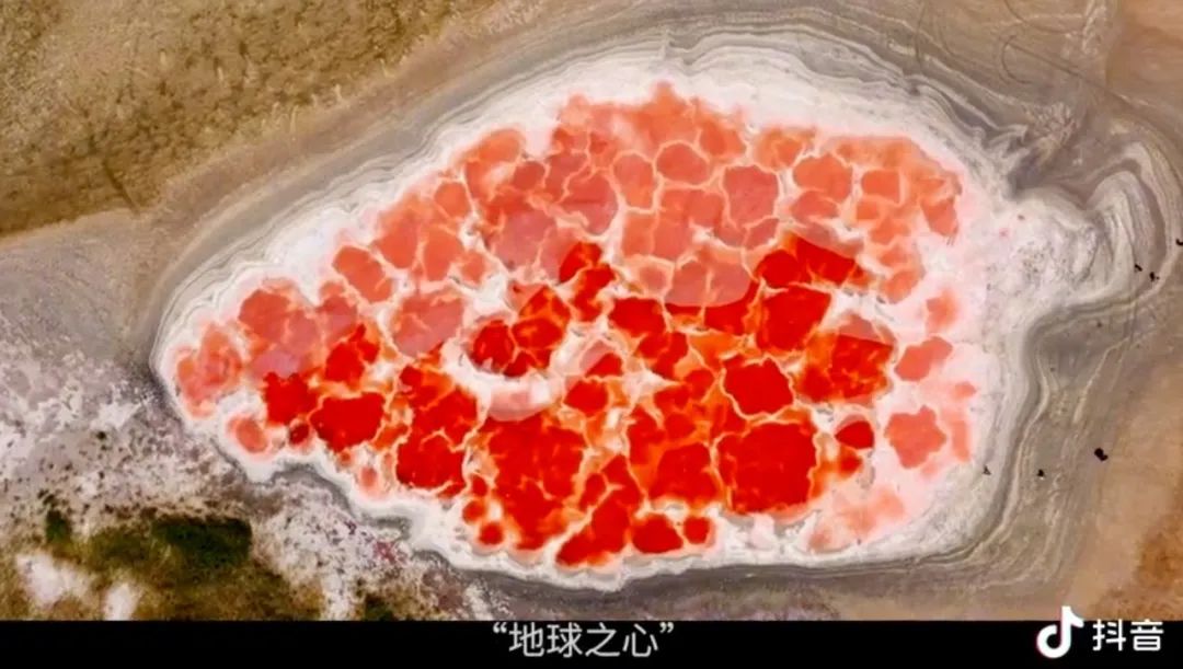 致命女郎的另一个含义p5r_致命女郎的另一个含义p5_致命女郎