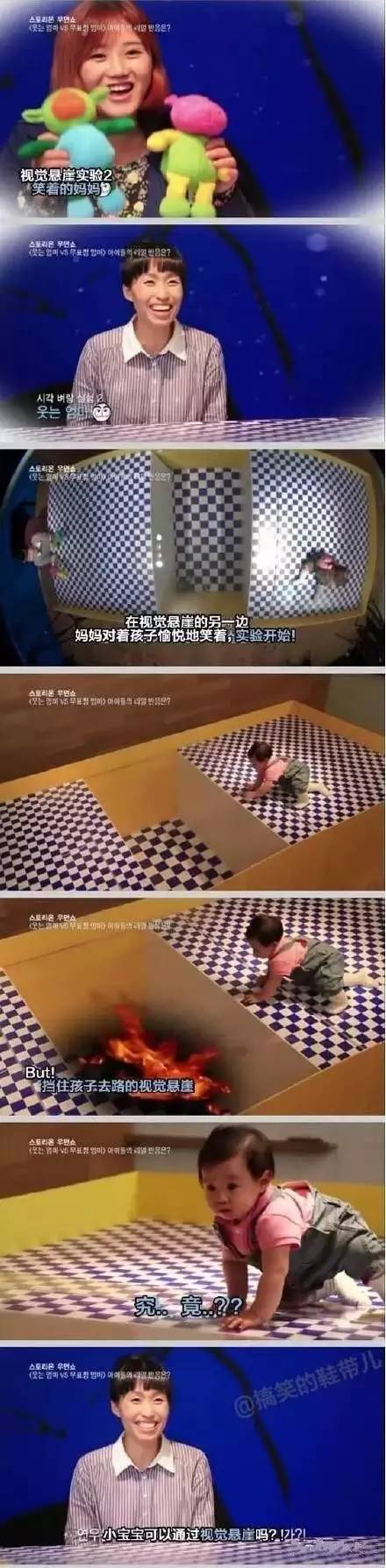 悬崖视觉实验怎么做_视觉悬崖实验_视觉悬崖实验具有什么意义