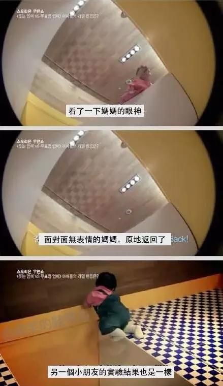 视觉悬崖实验具有什么意义_悬崖视觉实验怎么做_视觉悬崖实验