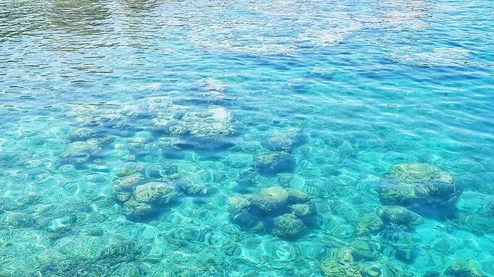中国海钓_海钓天国_深圳海钓