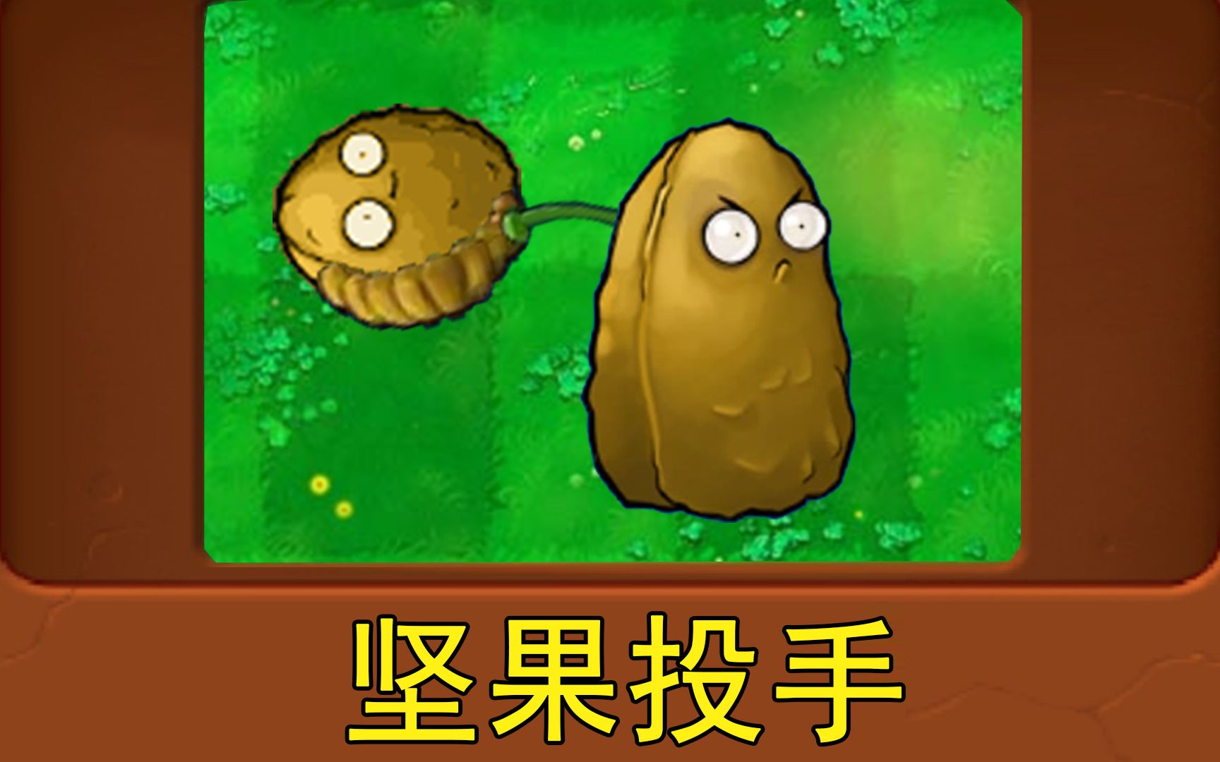 坚果僵尸vs所有僵尸_坚果植物大战僵尸_僵尸坚果大战植物图片