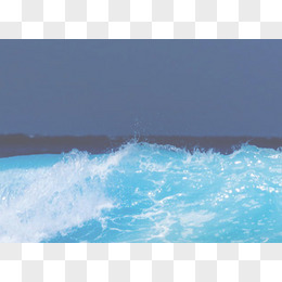 海鳐鱼和蝠鲼_海鳐_海鳐鱼图片