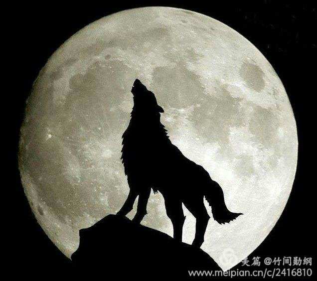 狼少年剧情介绍结局_狼少年百度影音_狼之少年