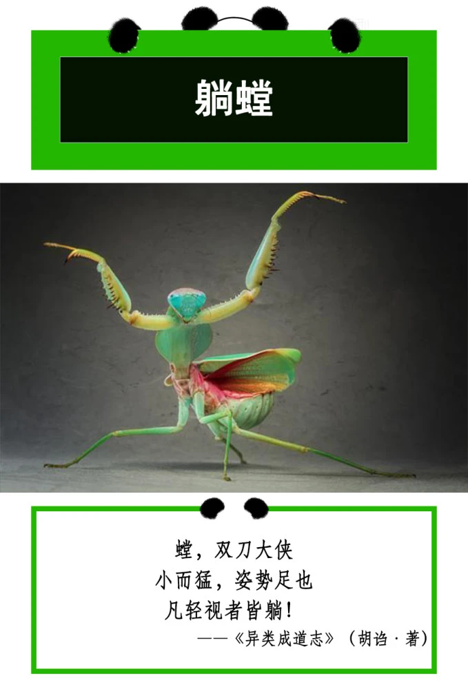螳螂刀图片_螳螂刀_螳螂刀怎么获得