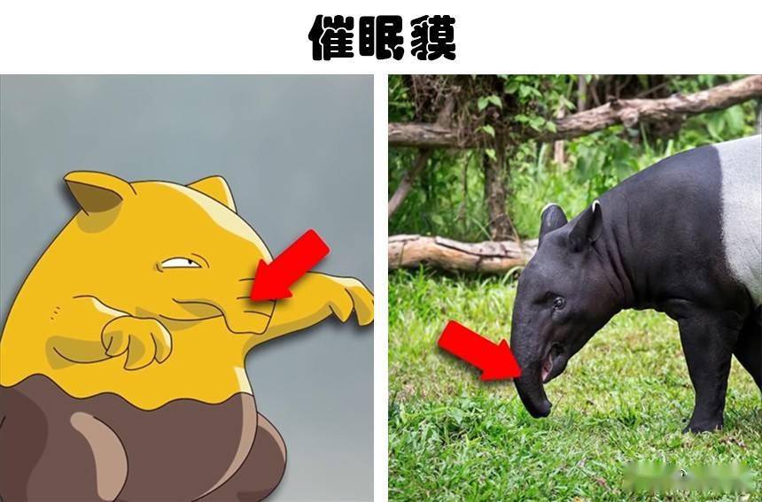 催眠貘_催眠貘进化图片_催眠貘多少级进化