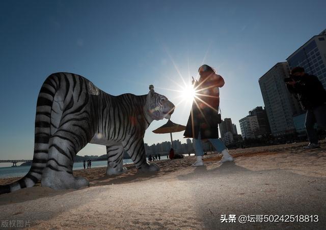 帅虎h500_帅帅虎_虎帅