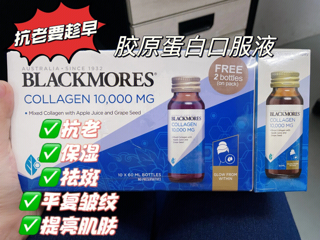 澳洲蛋白眼幼龙和龙蛋_澳洲蛋白眼幼龙怎么搭配_澳洲蛋白眼幼龙
