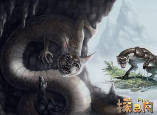 哈利波特主题公园禁林_禁林_魔法学校之禁林幽灵